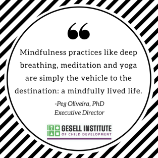 mindfulness blog quote - peg - may 2017